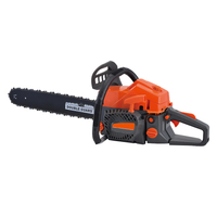 Wholesale Handheld Portable 5800 Gasoline Chainsaw with Cheap Price