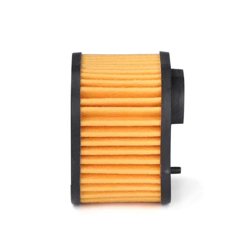 Professional Garden Tools Air Filter for Lawn Mower